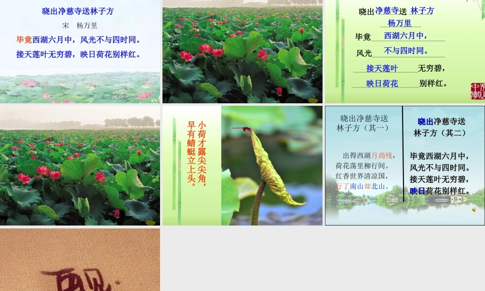 《晓出净慈寺送林子方 》 第7套（省一等奖）优质课.ppt