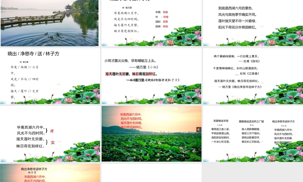 《晓出净慈寺送林子方 》 第8套（省一等奖）优质课.pptx