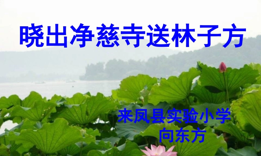 《晓出净慈寺送林子方 》 第6套（省一等奖）优质课.ppt