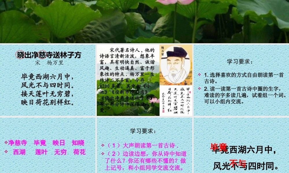 《晓出净慈寺送林子方 》 第6套（省一等奖）优质课.ppt