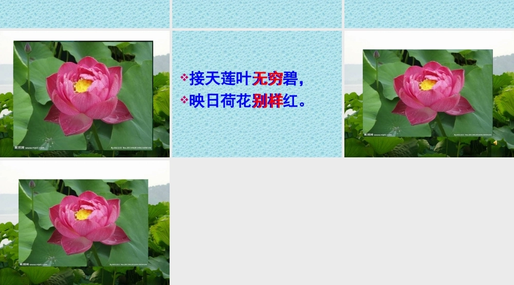 《晓出净慈寺送林子方 》 第6套（省一等奖）优质课.ppt