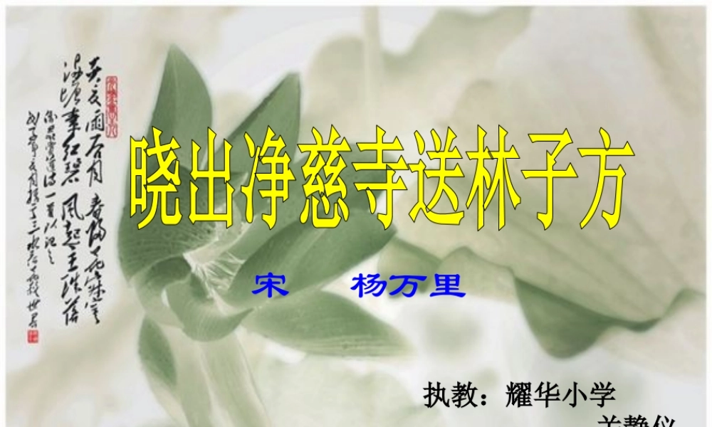 《晓出净慈寺送林子方 》 第9套（省一等奖）优质课.ppt