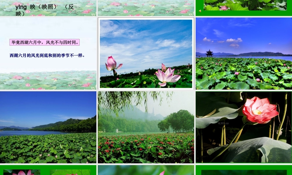 《晓出净慈寺送林子方 》 第9套（省一等奖）优质课.ppt