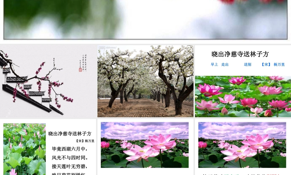 《晓出净慈寺送林子方 》 第10套（省一等奖）优质课.ppt