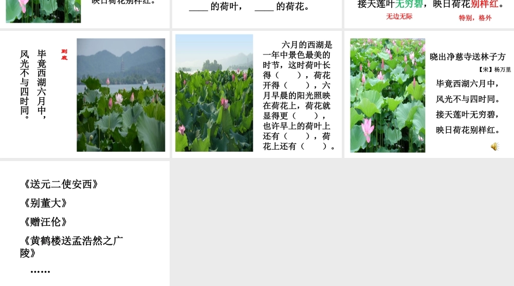 《晓出净慈寺送林子方 》 第10套（省一等奖）优质课.ppt