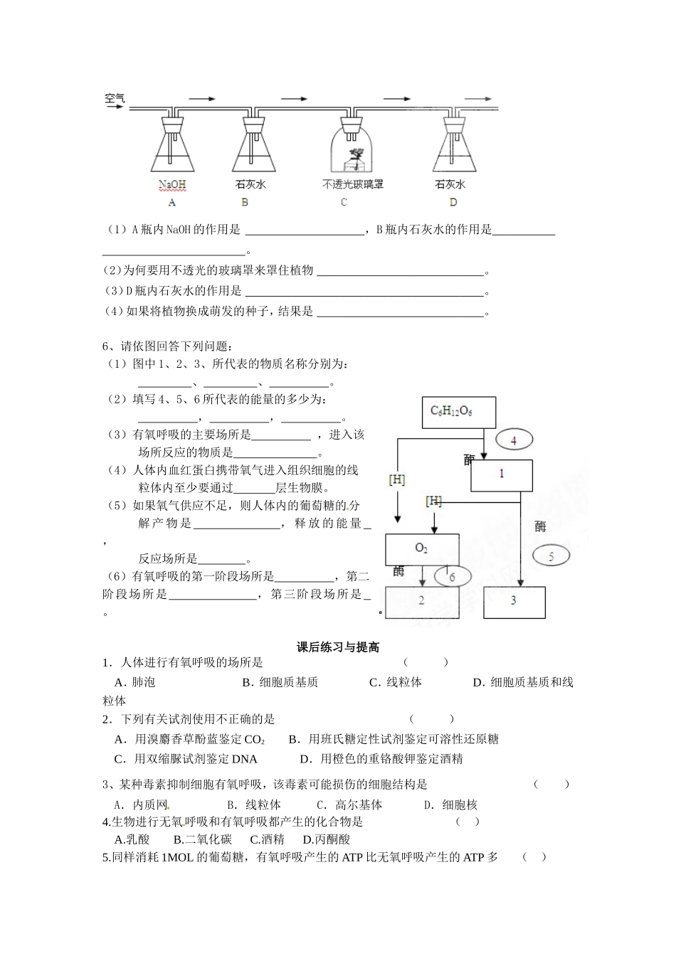 必修一第五章第3节《ATP的主要来源——细胞呼吸（1）》导学案.doc_第3页