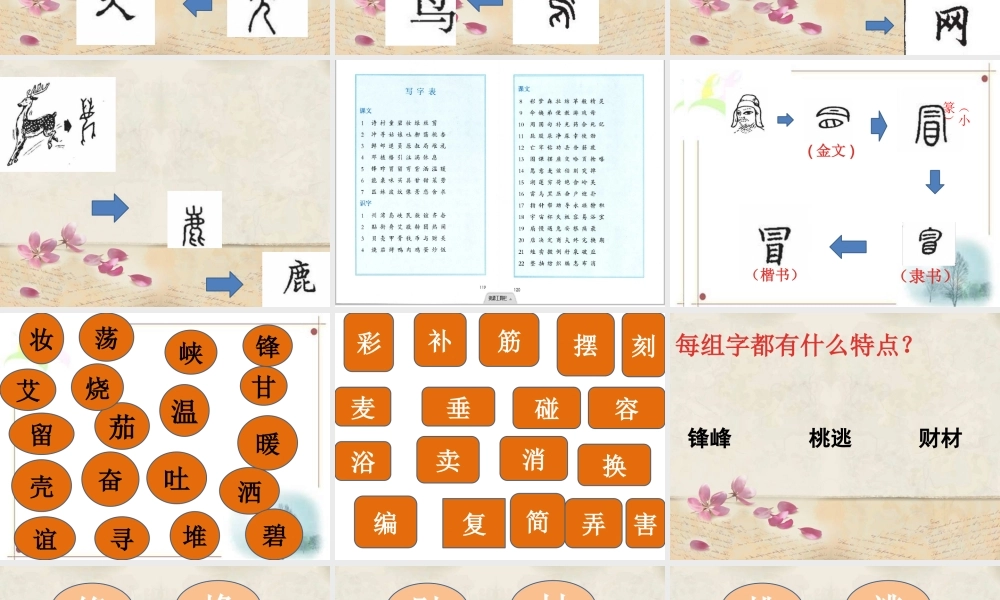 《写字表 》 第4套（省一等奖）优质课.pptx