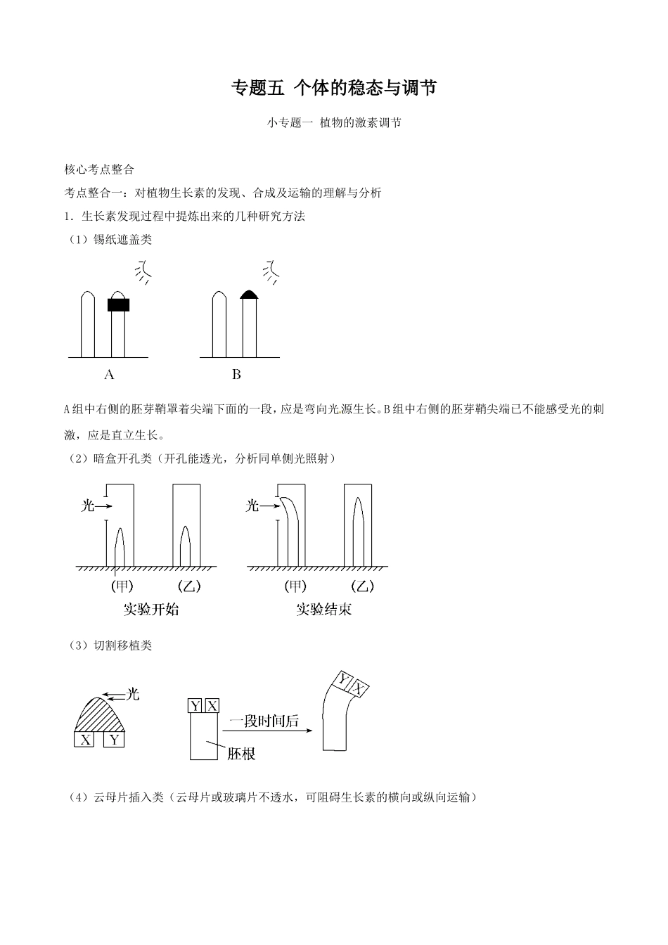 高三生物复习学案：专题5 个体的稳态与调节1 植物的激素调节.doc_第1页