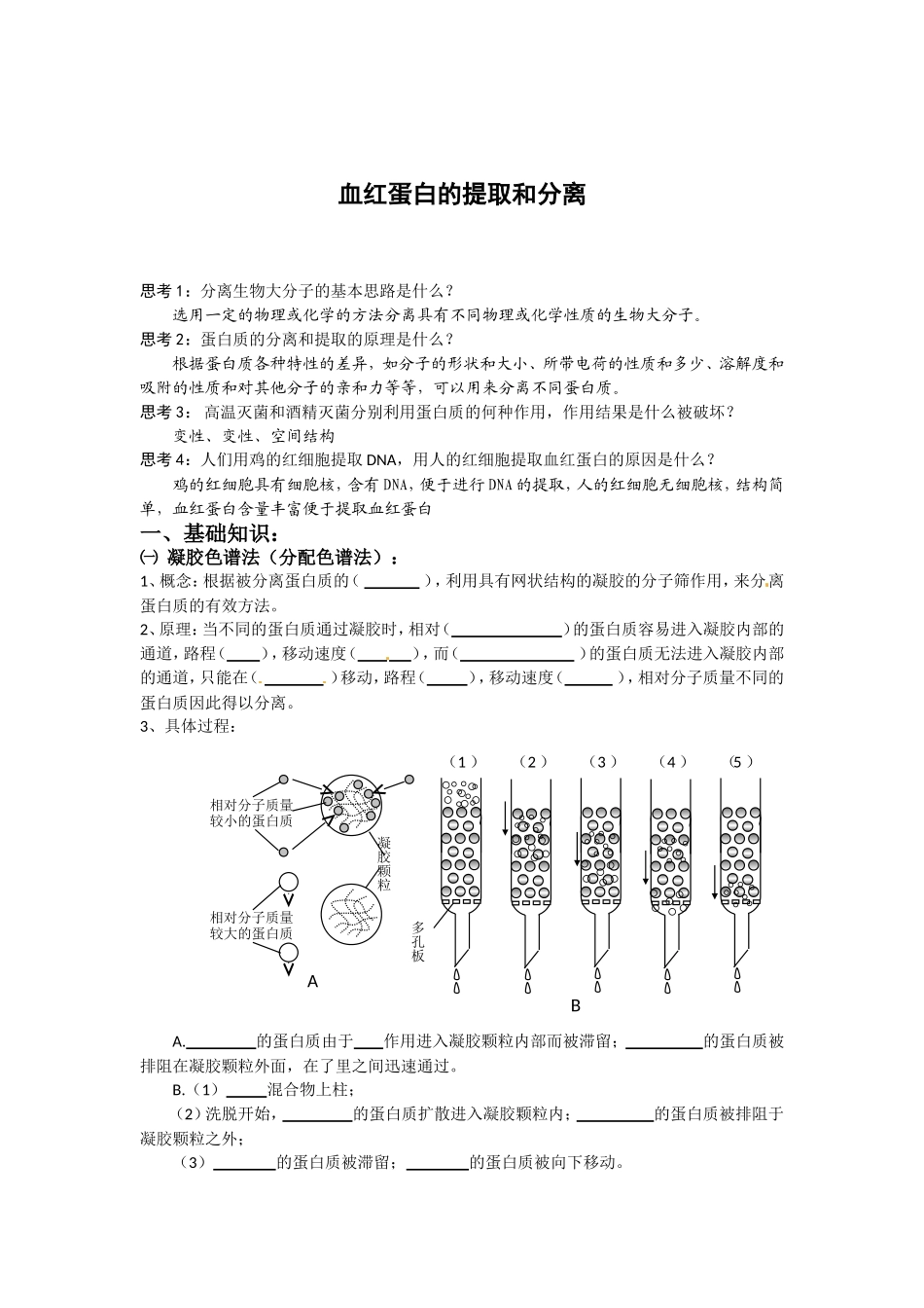 生物：5.3《血红蛋白的提取和分离》学案（新人教版选修1）.doc_第1页