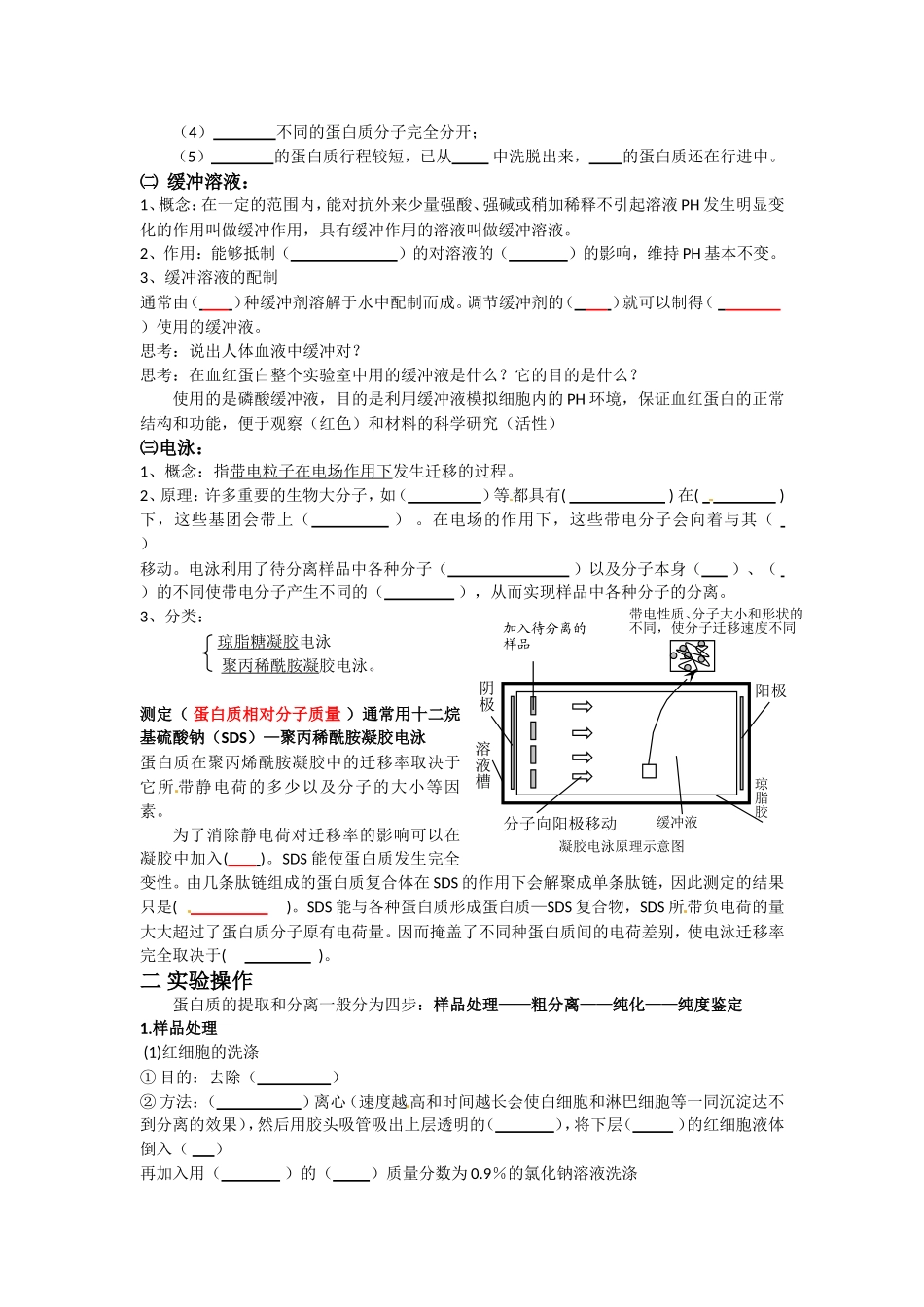 生物：5.3《血红蛋白的提取和分离》学案（新人教版选修1）.doc_第2页