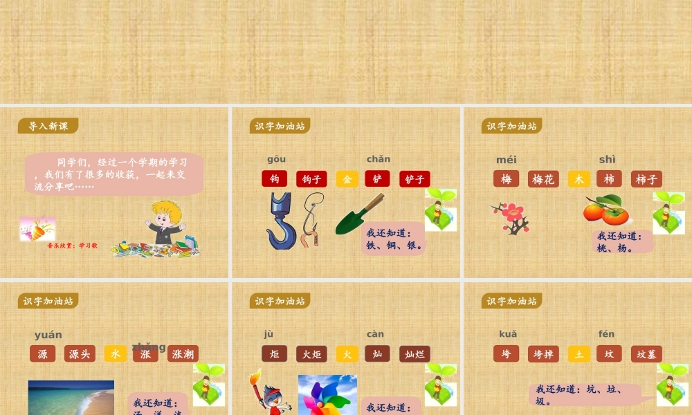 《语文园地八 》 第4套（省一等奖）优质课.ppt