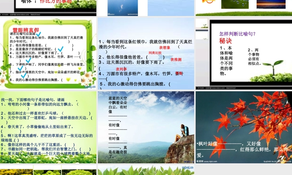 《语文园地八 》 第6套（省一等奖）优质课.ppt