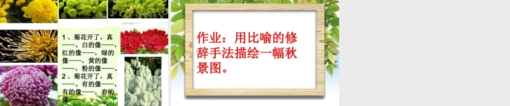 《语文园地八 》 第6套（省一等奖）优质课.ppt