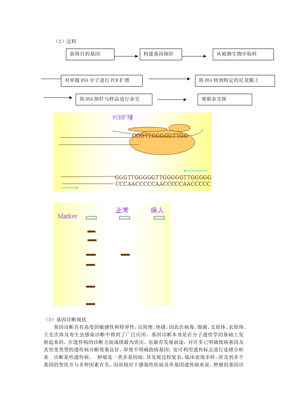 生物：1.2《基因诊断与基因治疗》教案（新人教版选修2） .doc_第2页