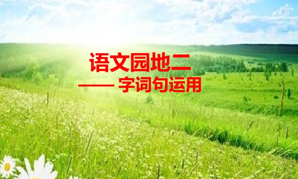 《语文园地二 》 第3套（省一等奖）优质课.pptx