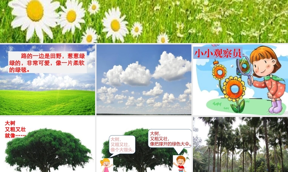 《语文园地二 》 第3套（省一等奖）优质课.pptx