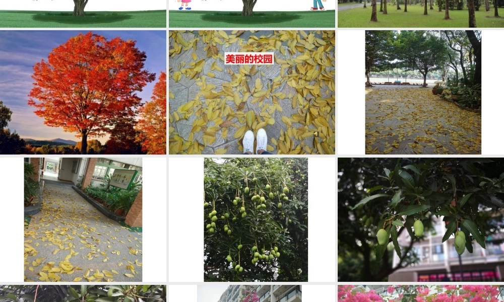 《语文园地二 》 第3套（省一等奖）优质课.pptx