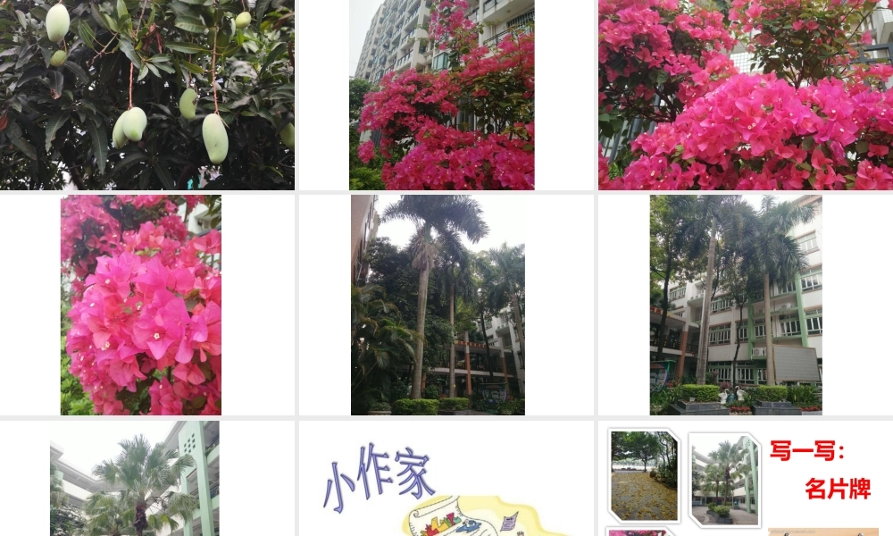 《语文园地二 》 第3套（省一等奖）优质课.pptx