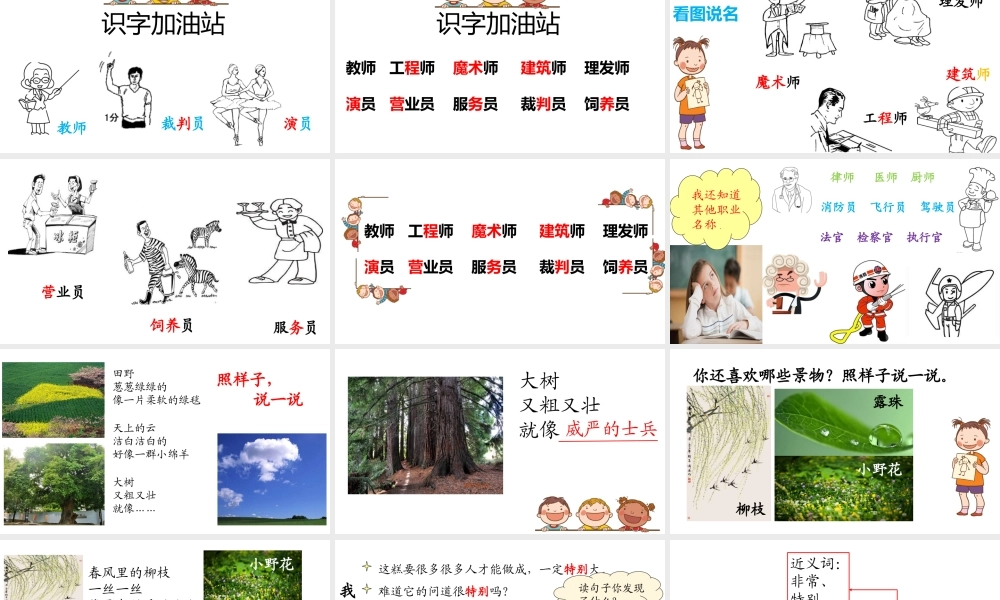 《语文园地二 》 第4套（省一等奖）优质课.pptx