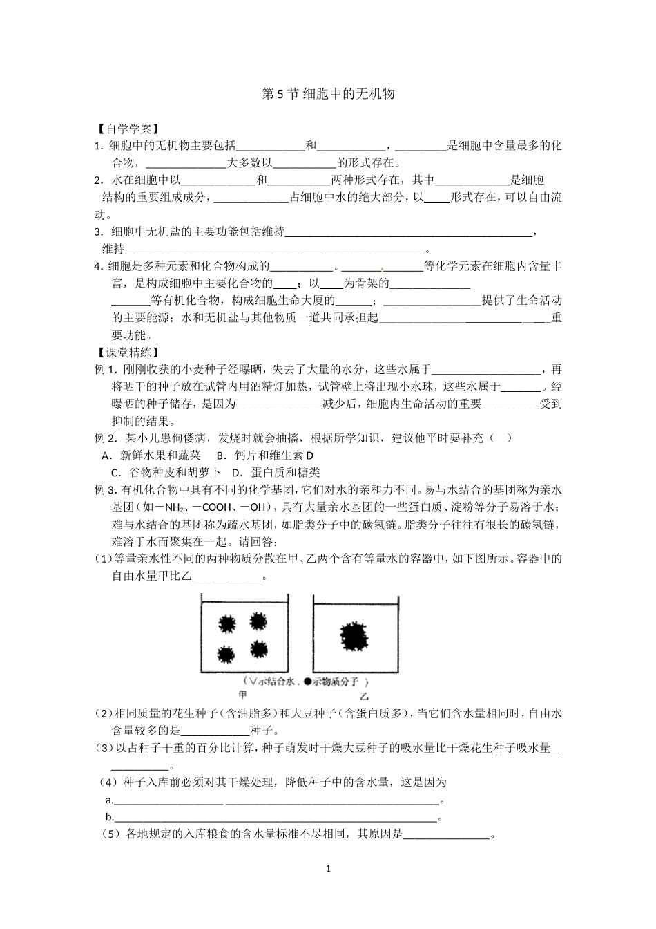生物同步学案：2.5《细胞中的无机物》（新人教版必修1）.doc_第1页