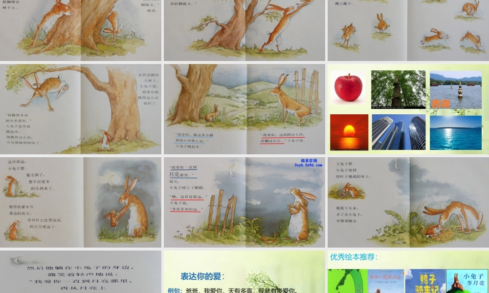 《语文园地六：我爱阅读 》 第2套（省一等奖）优质课.pptx