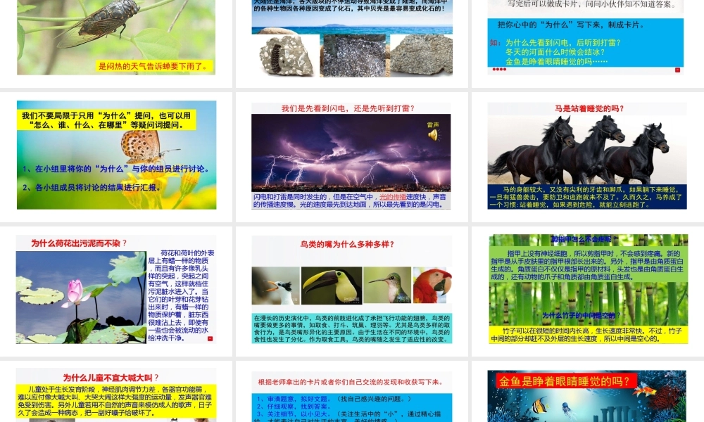 《语文园地六：写话 》 第2套（国家一等奖）优质课.pptx