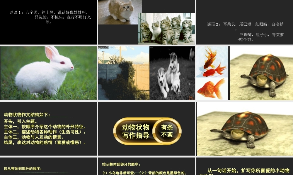 《语文园地七：写话 》 第4套（省一等奖）优质课.ppt