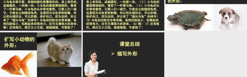 《语文园地七：写话 》 第4套（省一等奖）优质课.ppt