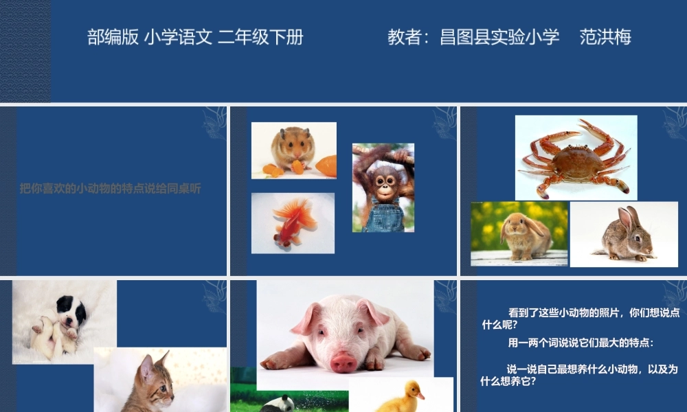 《语文园地七：写话》 第9套（省一等奖）优质课.pptx