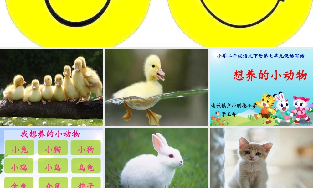 《语文园地七：写话 》 第7套（省一等奖）优质课.ppt