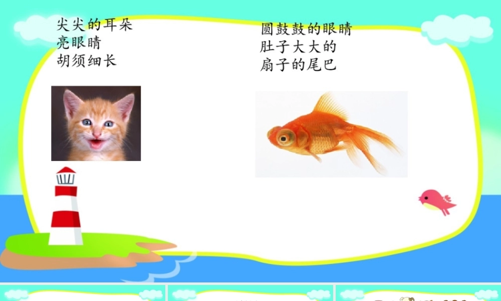 《语文园地七：写话4》【张老师】【省级】优质课.pptx