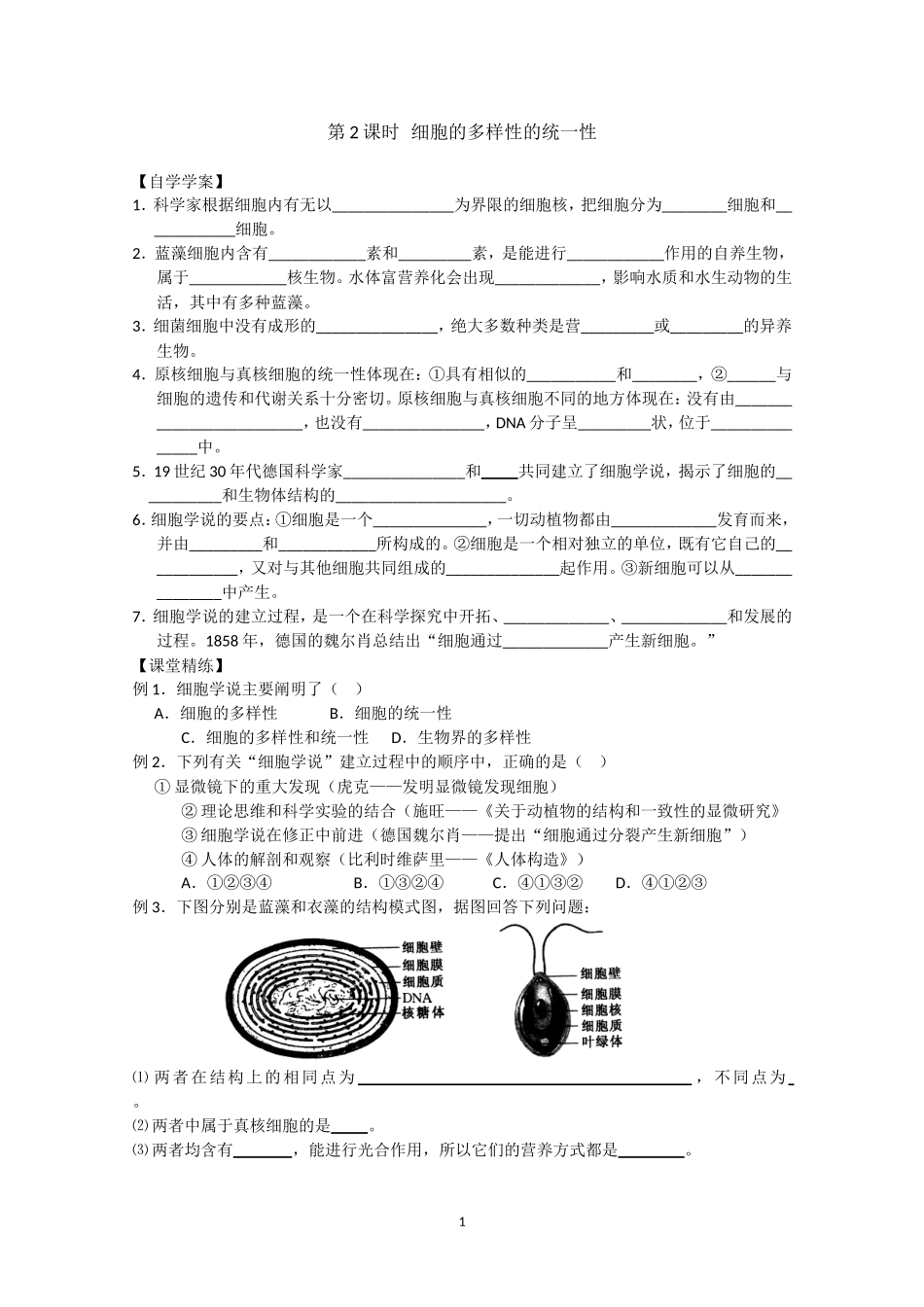 生物同步学案：1.2《细胞的多样性的统一性》（新人教版必修1）.doc_第1页