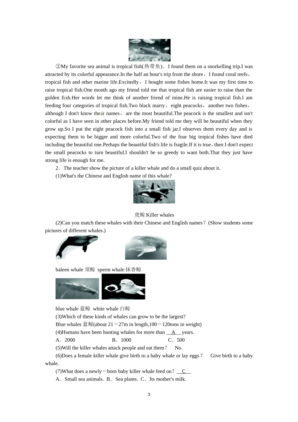 选修七Unit3 Under the sea Period 2.doc_第3页