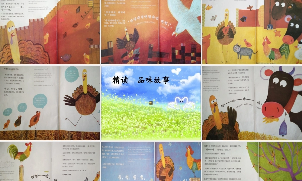 《语文园地四：我爱阅读 》 第8套（省一等奖）优质课.pptx