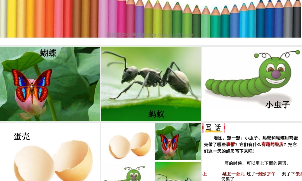 《语文园地四：写话 》 第6套（国家一等奖）优质课.pptx