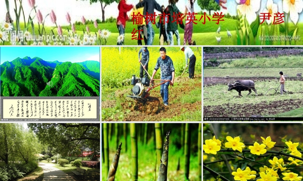 《语文园地一 》 第10套（省一等奖）优质课.ppt