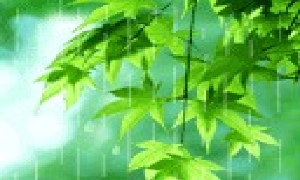 《语文园地一 》 第8套（省一等奖）优质课.ppt