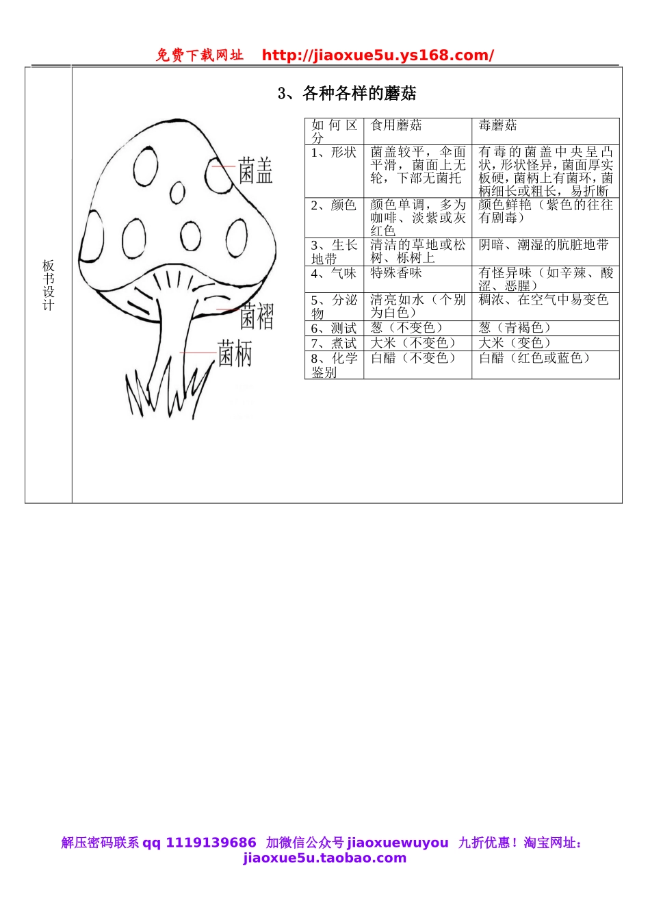 人教小学科学2.3各种各样的蘑菇.doc_第3页