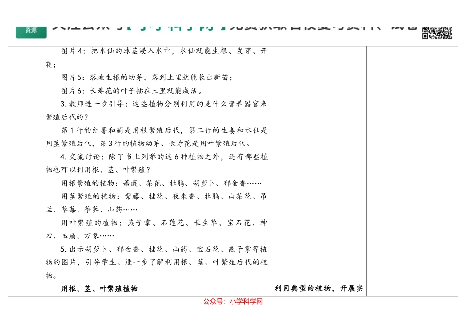 14.动物的繁殖（公众号 小学科学网）.docx_第3页