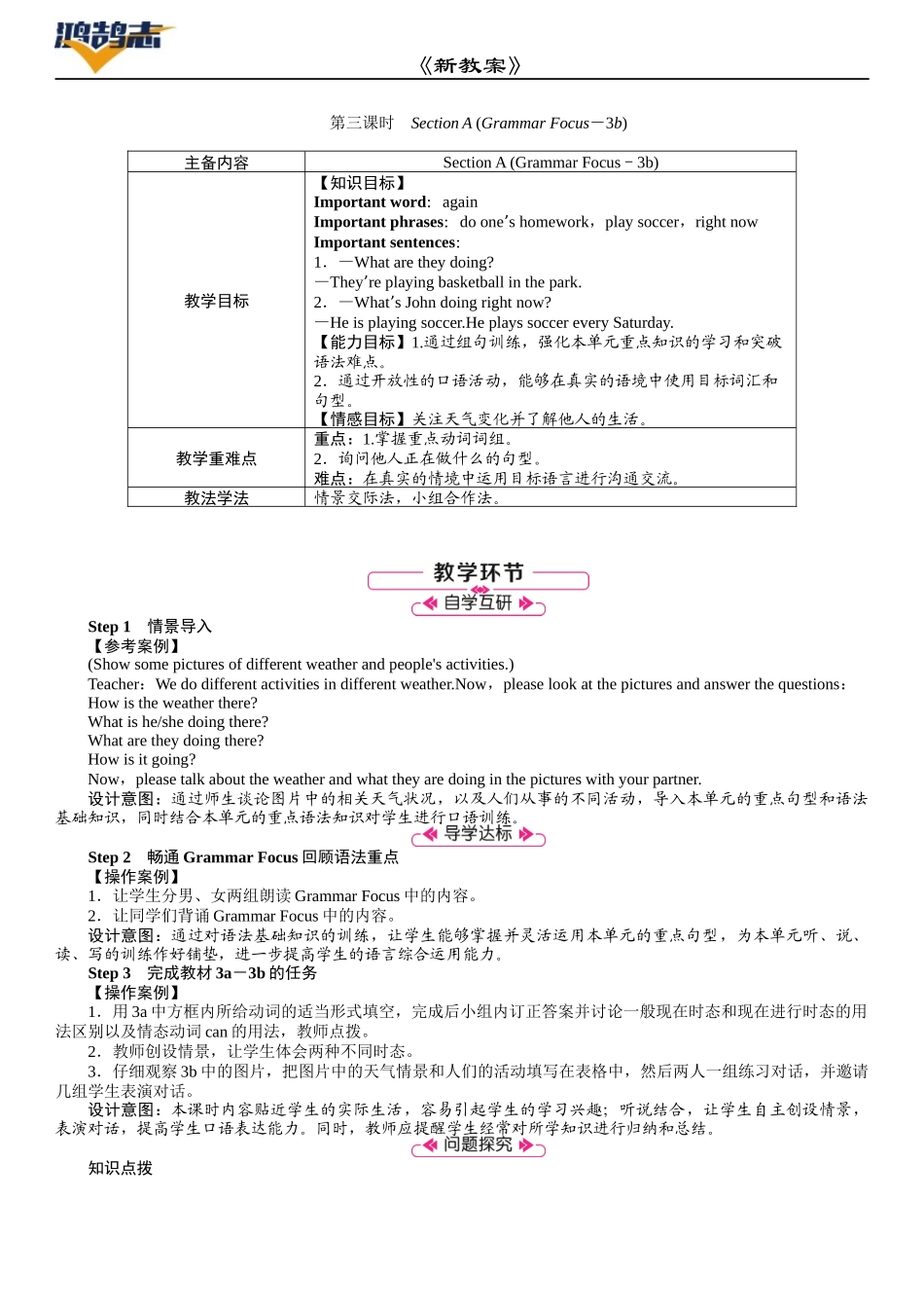第3课时　Section A (Grammar Focus－3b).DOCX_第1页