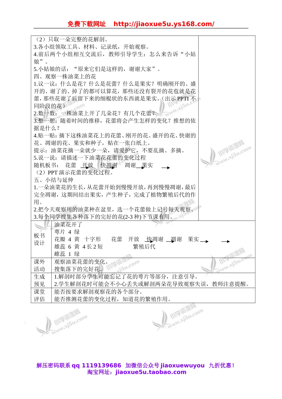 教科小学科学四下《2.1.油菜花开了》word教案(3).doc_第3页