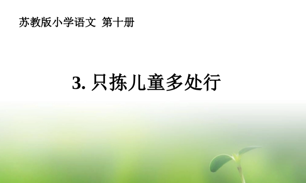 2 只拣儿童多处行.ppt