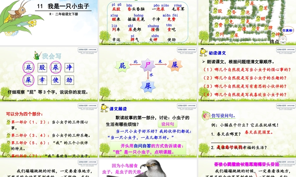 11 我是一只小虫子.ppt