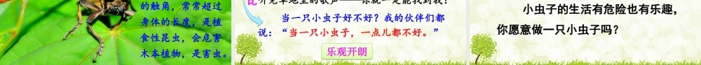 11 我是一只小虫子.ppt