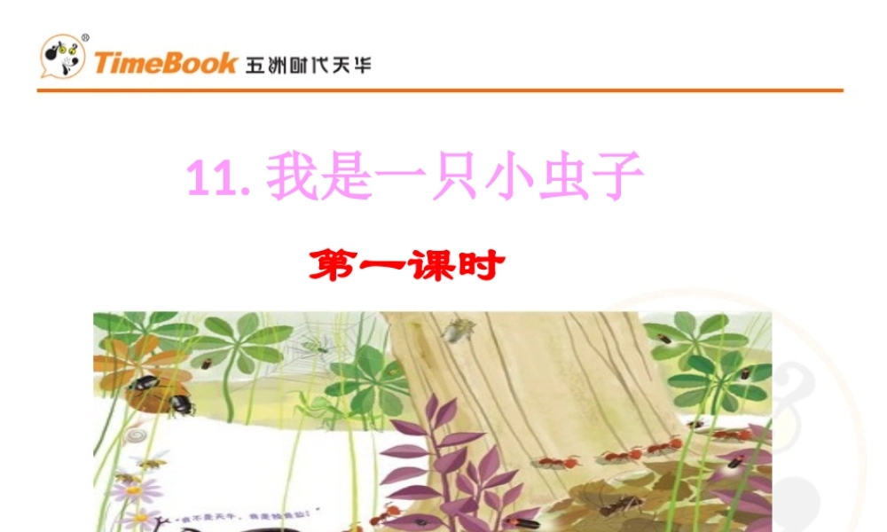 11 我是一只小虫子.pptx