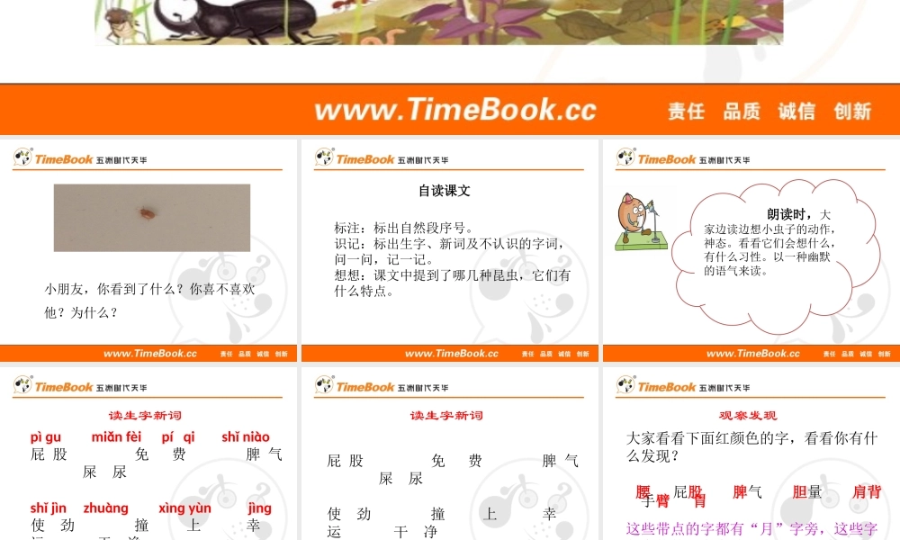 11 我是一只小虫子.pptx