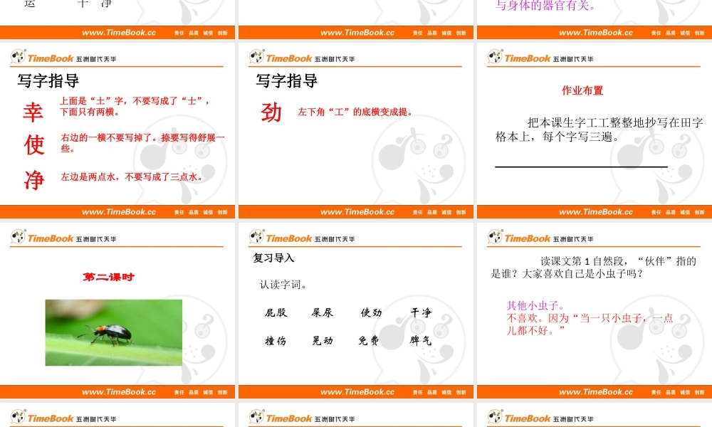 11 我是一只小虫子.pptx