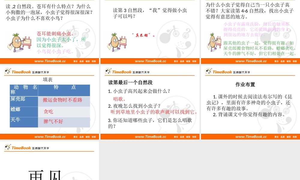 11 我是一只小虫子.pptx