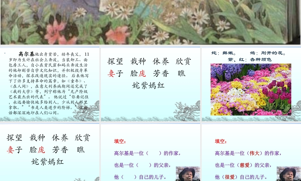 14 高尔基和他的儿子.ppt