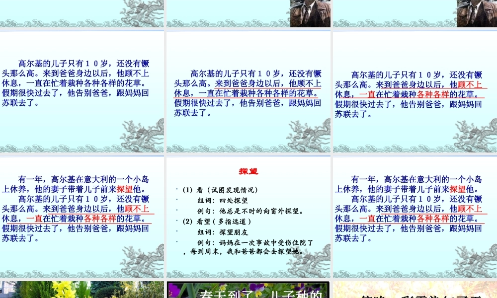 14 高尔基和他的儿子.ppt